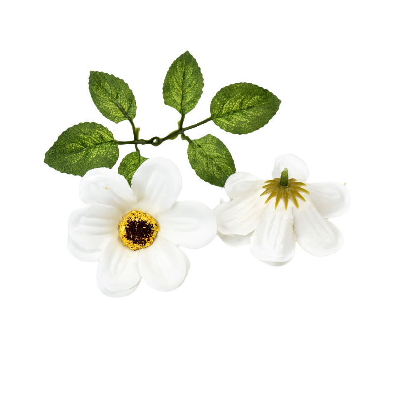 11 White