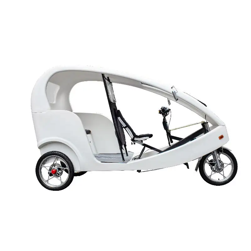 Электрическая велосипедная рикша с логотипом на заказ, трехколесный грузовой велосипед для взрослых и пассажиров, трехколесный велосипед