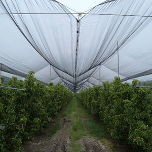 Anti Hagel Polyethylen Netz Vogelschutz mit Kunststoff Mesh Anti Hagel Netz für die Landwirtschaft