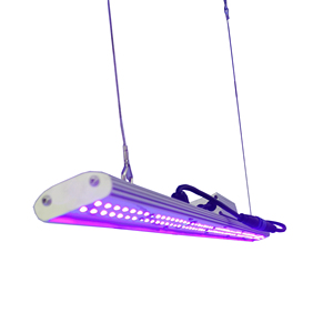 <strong>DANSE</strong> LED Manual Dimmer LED Grow <strong>Light</strong> 30W 2FT UVA Spectrum Bar <strong>Light</strong> for Planting Factory High Intensity 365nm 385nm 395mm Ac - Product Image 2