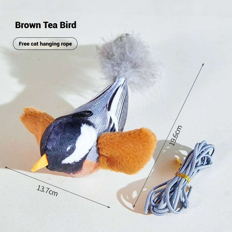 Oiseau de thé brun