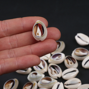 Doğal zanaat yarım kesim bölünmüş deniz kabuk Cowrie Shell dekor deniz kabuğu kabuklu deniz hayvanı kabuğu - Product Image 6