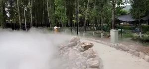 High Pressure Misting <strong>System</strong> <strong>Fog</strong> Making Machine Mist <strong>System</strong> - Product Image 4