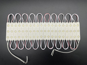 โมดูลหัวฉีด SMD2835 LED สำหรับ IP67ขนาด60*13มม. โมดูลตัวหนังสือไฟ LED 110V - Product Image 2