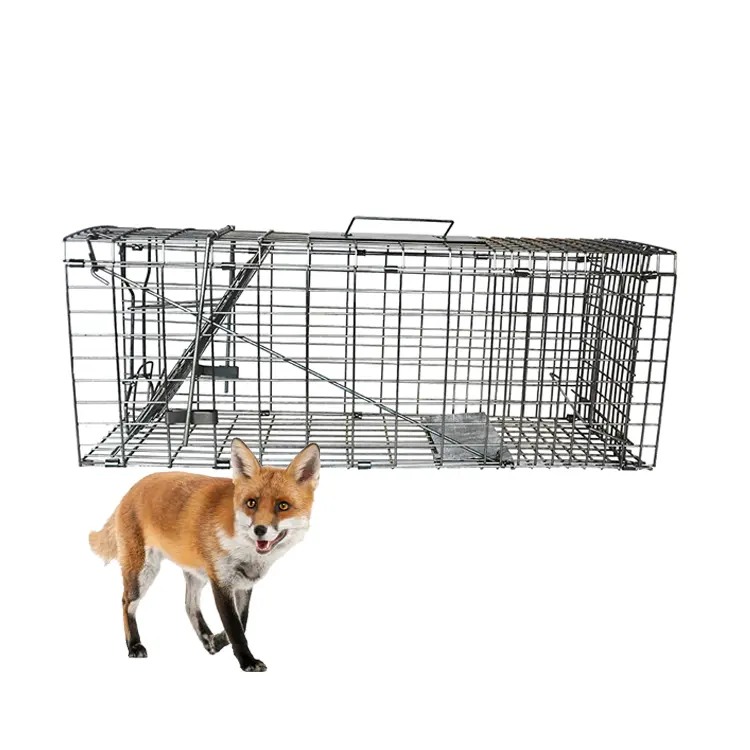 Fox Trap Cage Acier galvanisé durable Grand à vendre Fabricant chinois Silver Mice TRAPS Environmental & Security Fox 2014