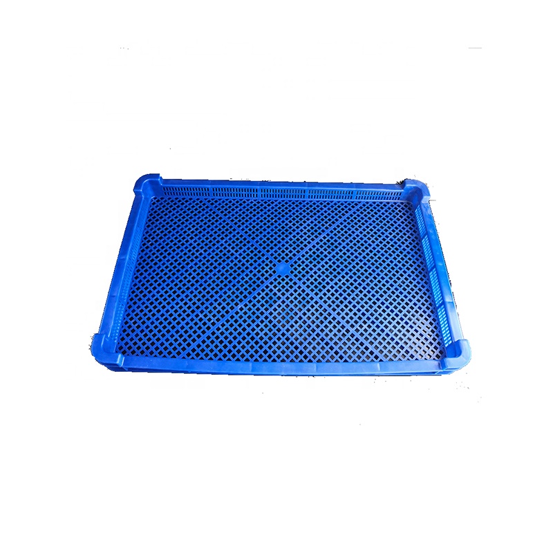 Azul (Stock AE)