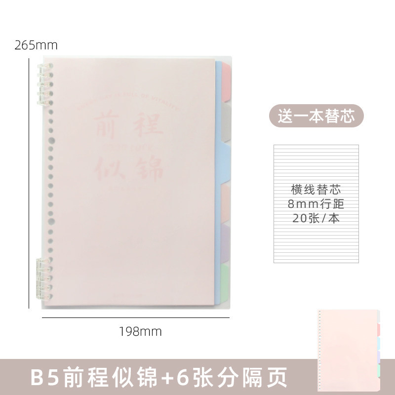 B5 prosperous future cover + 6 divider pages