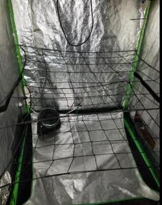 2x2 <strong>Trellis</strong> <strong>Net</strong> with 4'' Mesh 6'' Mesh , Flexible Scrog <strong>Net</strong> <strong>Trellis</strong> <strong>Net</strong> for Grow Tents <strong>Use</strong> - Product Image 4