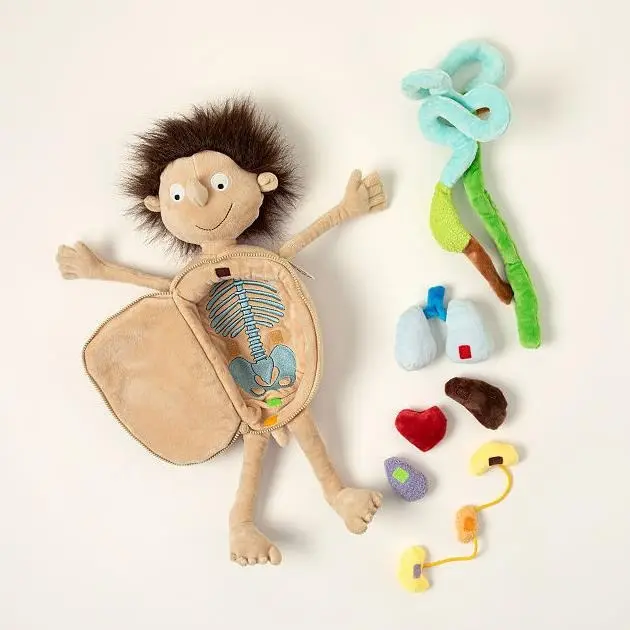 JM 3D Cuerpo Humano anatomía juguete chico preescolar órgano educativo juguetes de peluche ciencia aprendizaje Kits para estudiante