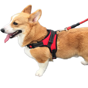 Ağır açık naylon neopren hiçbir çekme köpekler koşum yansıtıcı XS-XL katı desen renkli şerit yürüyüş Para Perro Arnes