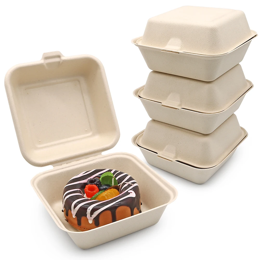biodegradable square bagasse food container box