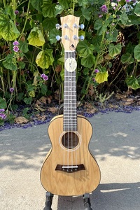En iyi fiyat konser enstrüman Ukulele çin fabrika toptan Aiersi marka yüksek dereceli kalite 24 inç <span class=keywords><strong>Uke</strong></span> gitar teli - Product Image 4