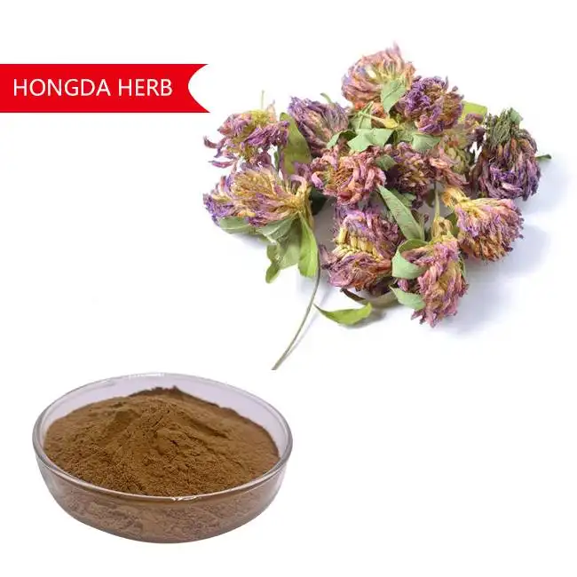 Hongda Factory Supply estratto di trifoglio rosso 8%-40% Isoflavones Trifolium Pratense estratto di trifoglio rosso in polvere