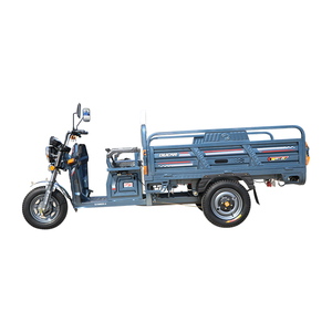 Adult 3-Wheel Agricultural Cargo Motorcycle Open Body 48V Three-Wheel Electric Bike for Transportation - Product Image 5