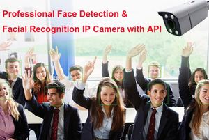 2MP 4MP 5MP 8MP专业人脸检测IP摄像机，带人工智能人脸识别智能闭路电视POE IP，带HTTP网络插座协议 - Product Image 6