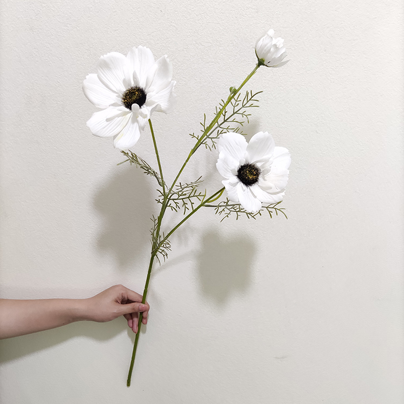 Blanc