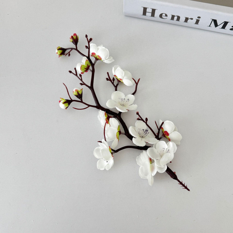 Petite prune blanche