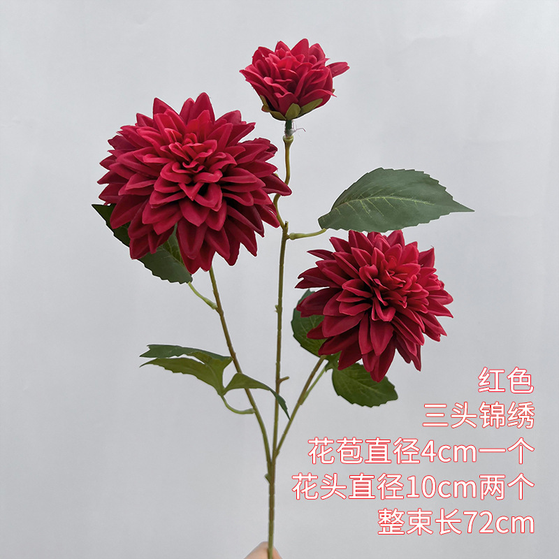 3 dahlias