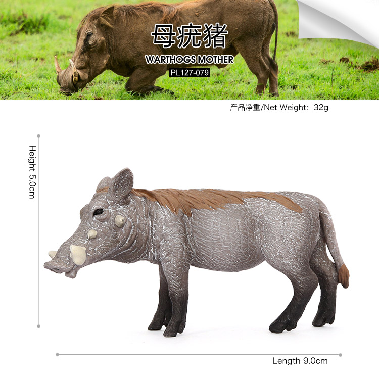 079 Porc-épic