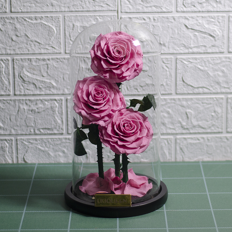 14 rosa