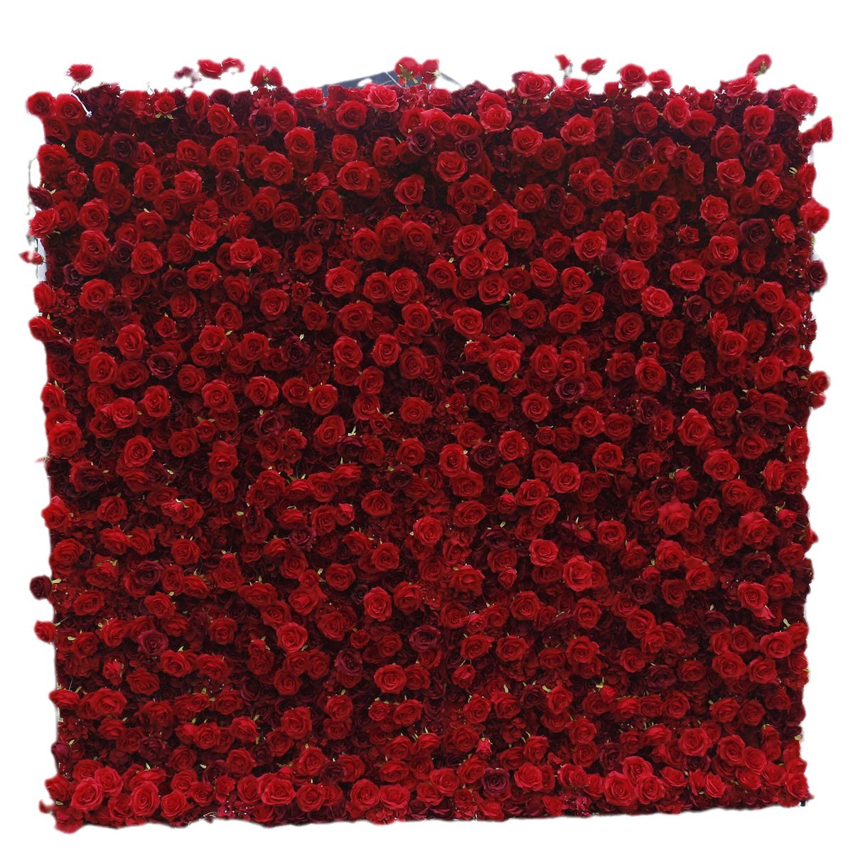Rojo