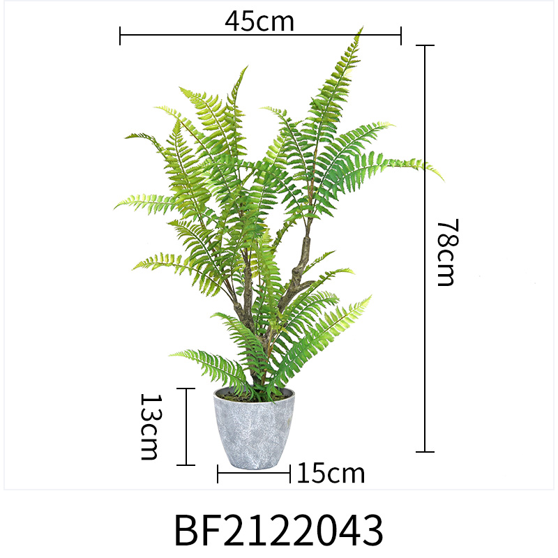 Green-BF2122043