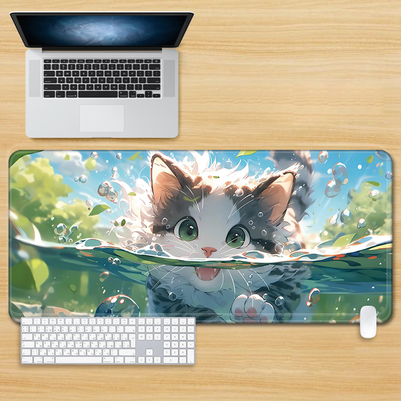 chaton 88613