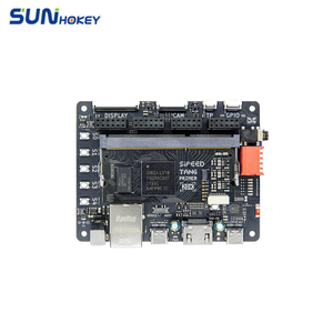 Sipeed Tang Primer 20K Gowin GW2A FPGA GoAI Kit de placa de desarrollo Sistema mínimo con interfaz DSP LvDs