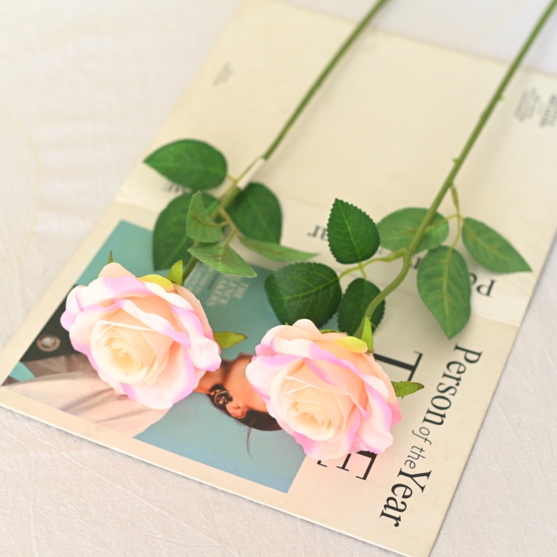 FF-4 light pink