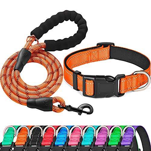 Orange Collar+Leash