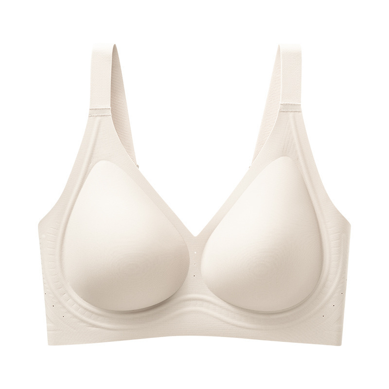 Champion White