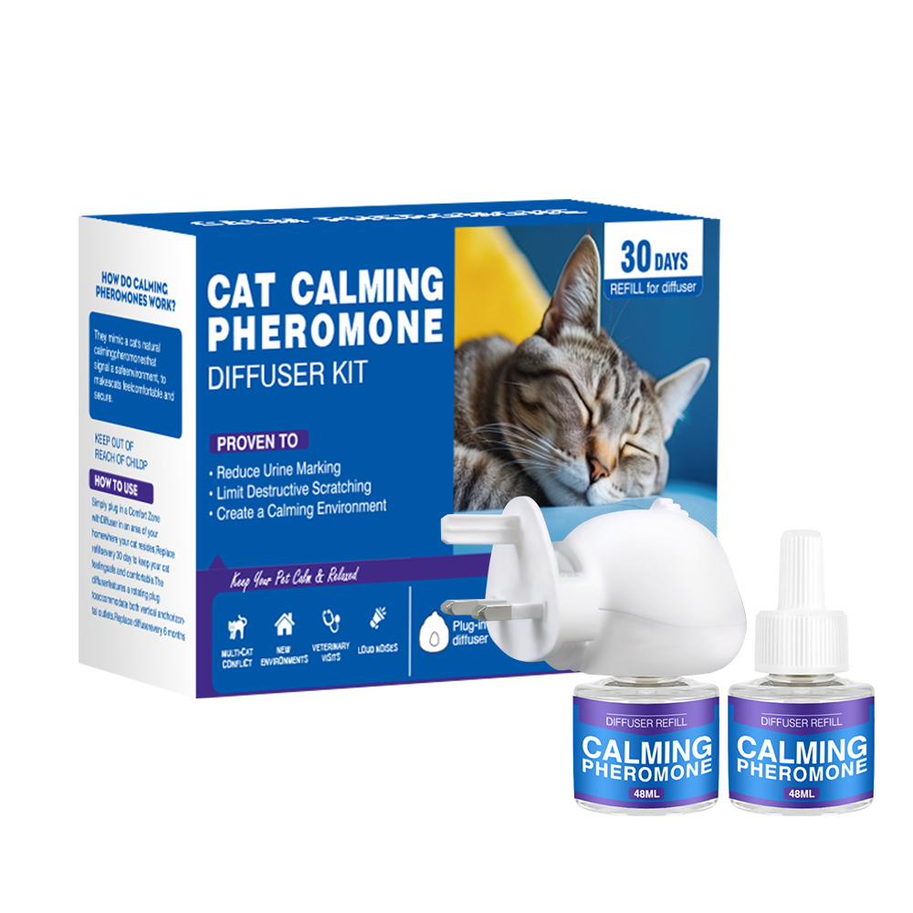 Spina britannica blu+due ricariche (cat)