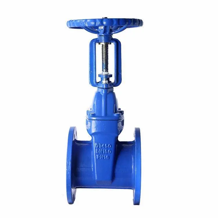 DN50-DN600 Open Stem Ductile Iron Gate Valve Large Diameter Soft Seal Cast Iron PN16 Sluice Valve High Quality