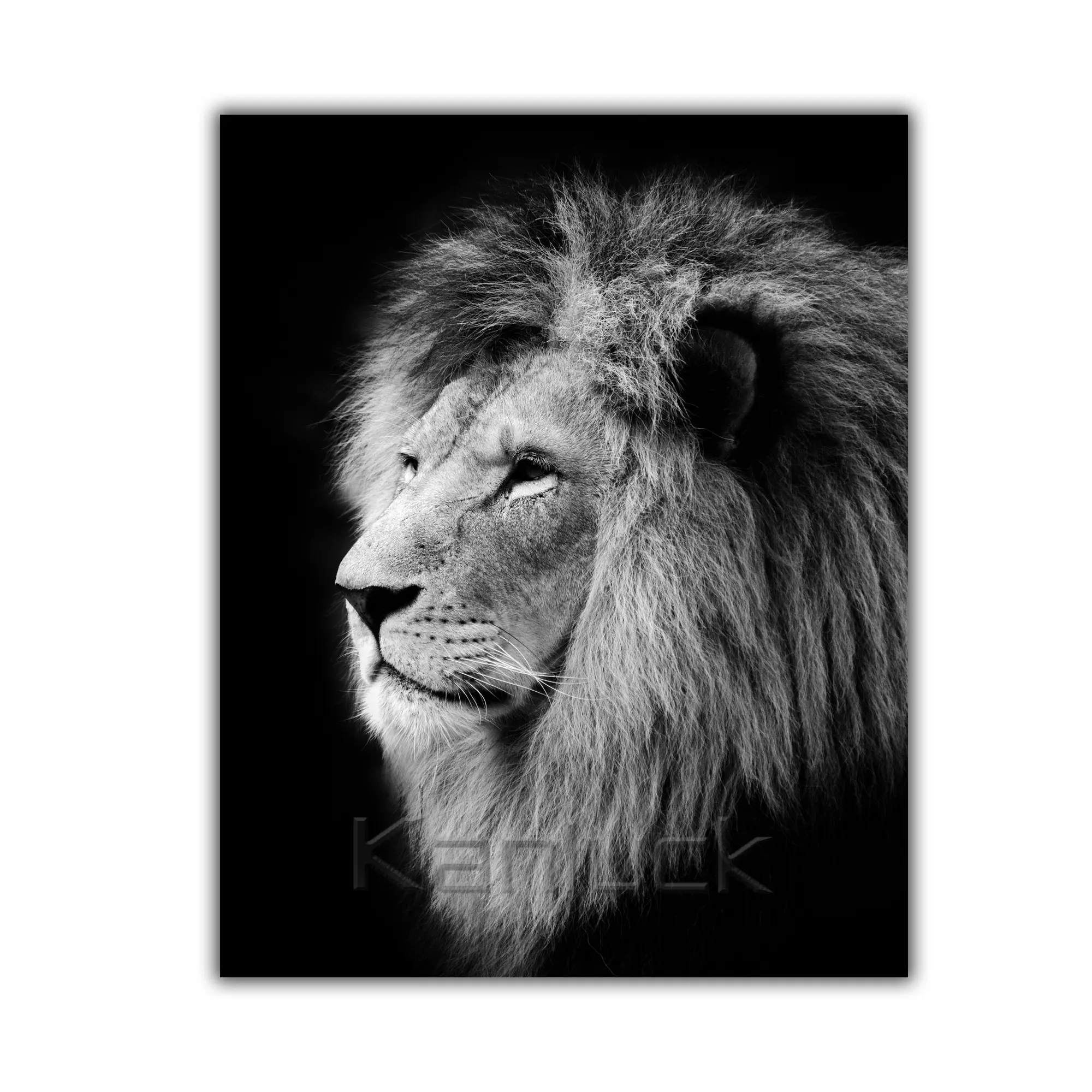 Pintura de parede em tela preto e branco da áfrica animal leão impressão