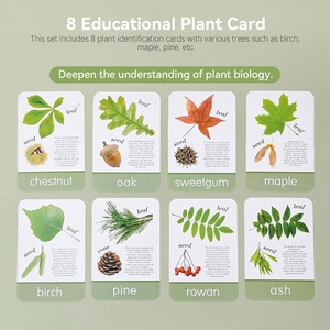 Preschool Science Magnifier Early <strong>Learning</strong> STEM Activity Wooden Magnifying Glass <strong>Explorer</strong> Set Nature Observation - Product Image 5