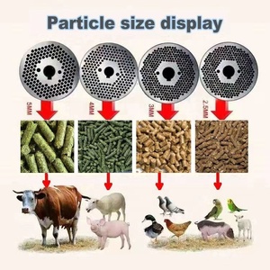Didderent mô hình động vật DIESEL Thức ăn viên Mill máy cho thức ăn gia cầm <span class=keywords><strong>pelletizer</strong></span> - Product Image 6