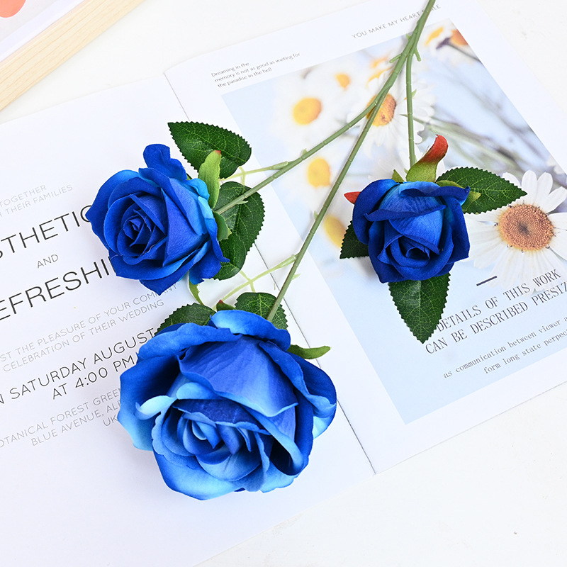 Treasure Blue