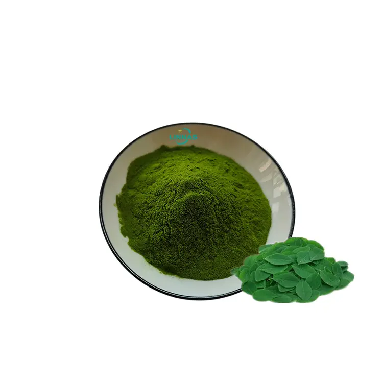 Personalizzare Private Label estratto di foglie di Moringa Superfood polvere di foglie di Moringa