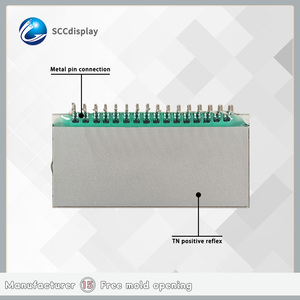 Anpassbare 7-Segment-TN-Positiv-LCD-Anzeigemodule Kosten-Leistungs-Großhandel Instrumenten bildschirm Modell SJXDGN022 - Product Image 3