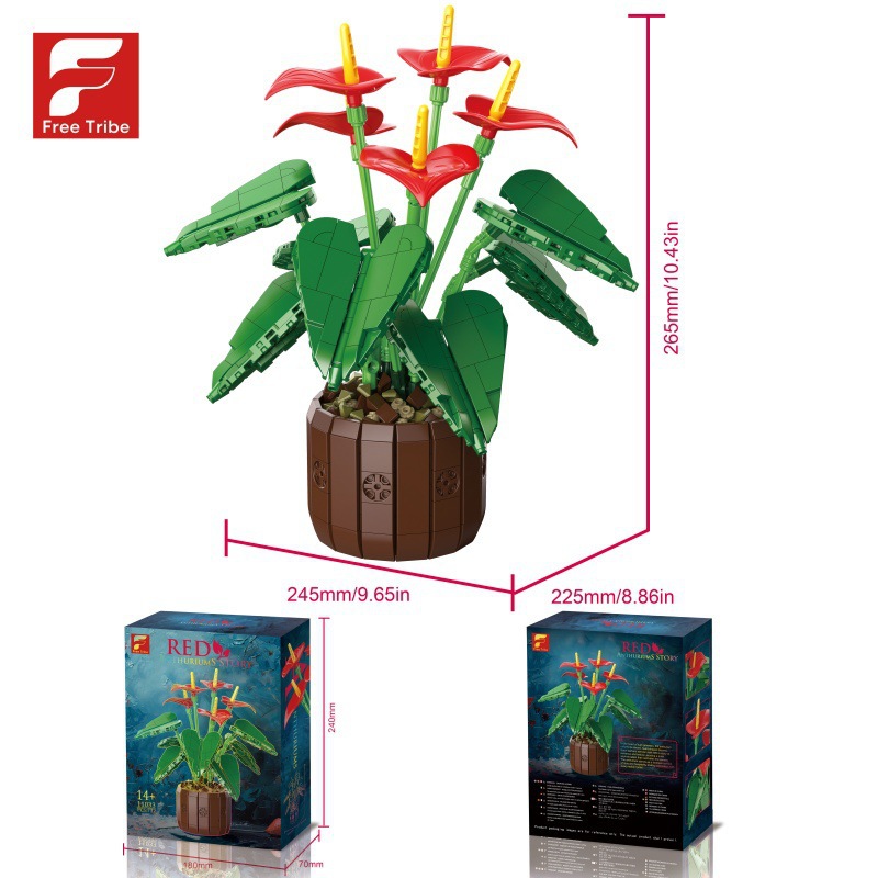 11033-anthurium andrae-800g-boîte couleur