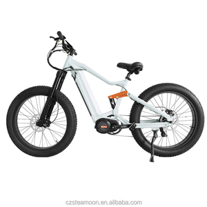 ファッショナブルな30-50km/h 52v/48v 14ah/17ahファットタイヤフルサスペンション電動自転車電動自転車電動自転車電動自転車