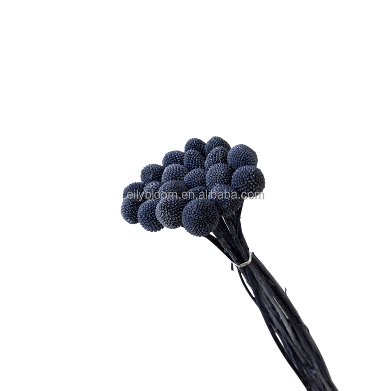 Grigio scuro
