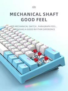 Manufacturer Customs 61 Keys TYPE-C <strong>Mechanical</strong> <strong>Keyboard</strong> with RGB Backlight Klavye Teclado <strong>Mechanical</strong> Gaming <strong>Keyboard</strong> for Desktop - Product Image 4