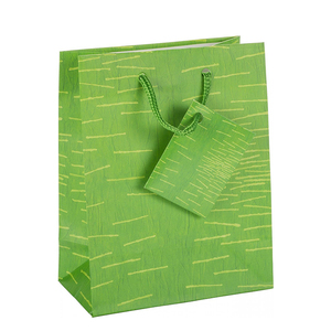 定制设计小尺寸豪华不同高级彩纸礼品袋，带手柄和购物卡 - Product Image 1
