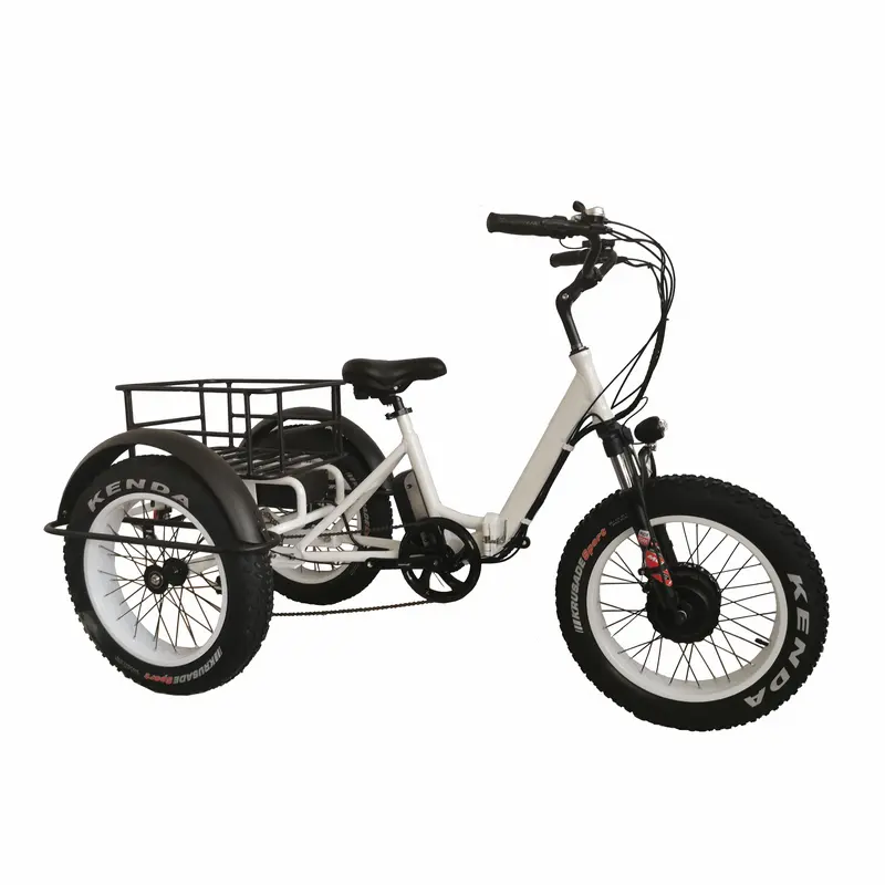 3 tekerlekli bisiklet 20 inç şişman lastik katlanır elektrikli üç tekerlekli bisiklet kargo ebike yetişkinler için