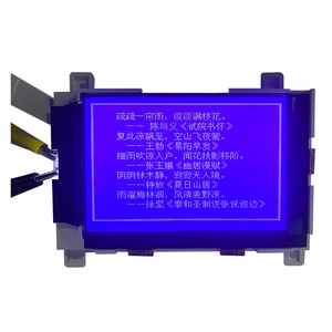 130.1 personalizzato * 102.7mm 6:00 visualizzazione segmento STN modulo LCD con ingresso 3.3V