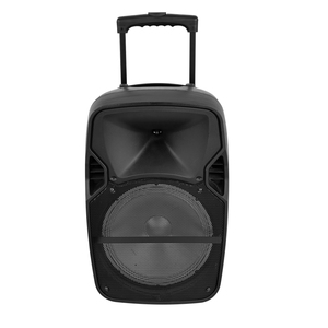 High-power 15 Inch Subwoofer Outdoor Portable Concert Sound System <strong>Bluetooth</strong> Indoor Karaoke PA Speaker with RGB Flash Led Light - Product Image 4