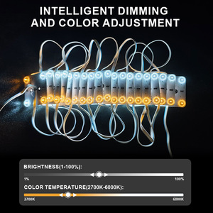 24V Blockchain <strong>LED</strong> Light Box Bi-color Soft Film Outdoor Advertising IP68 DC12V 3W <strong>Led</strong> Module Light Source - Product Image 2