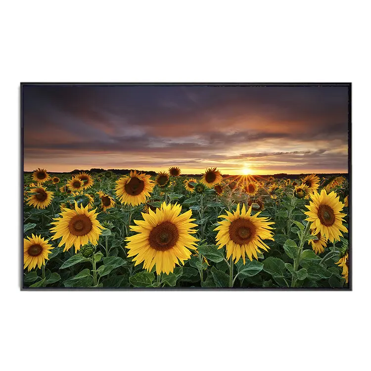 Pinturas de paisaje al atardecer de girasol personalizadas, hermosa impresión fotográfica de paisajes de galería en lienzo envuelto