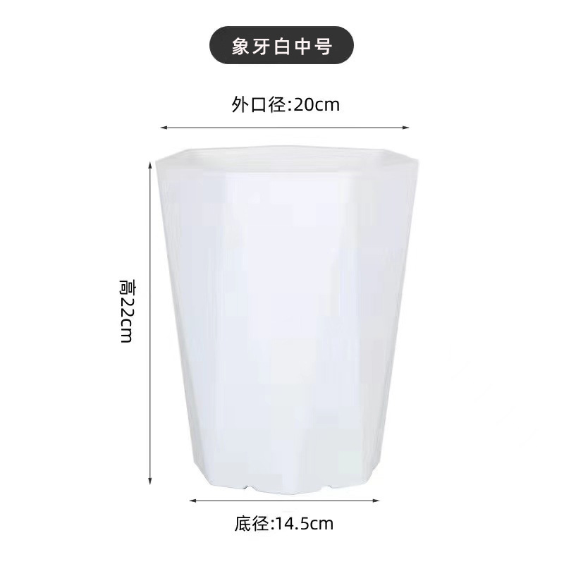 Ivory white medium